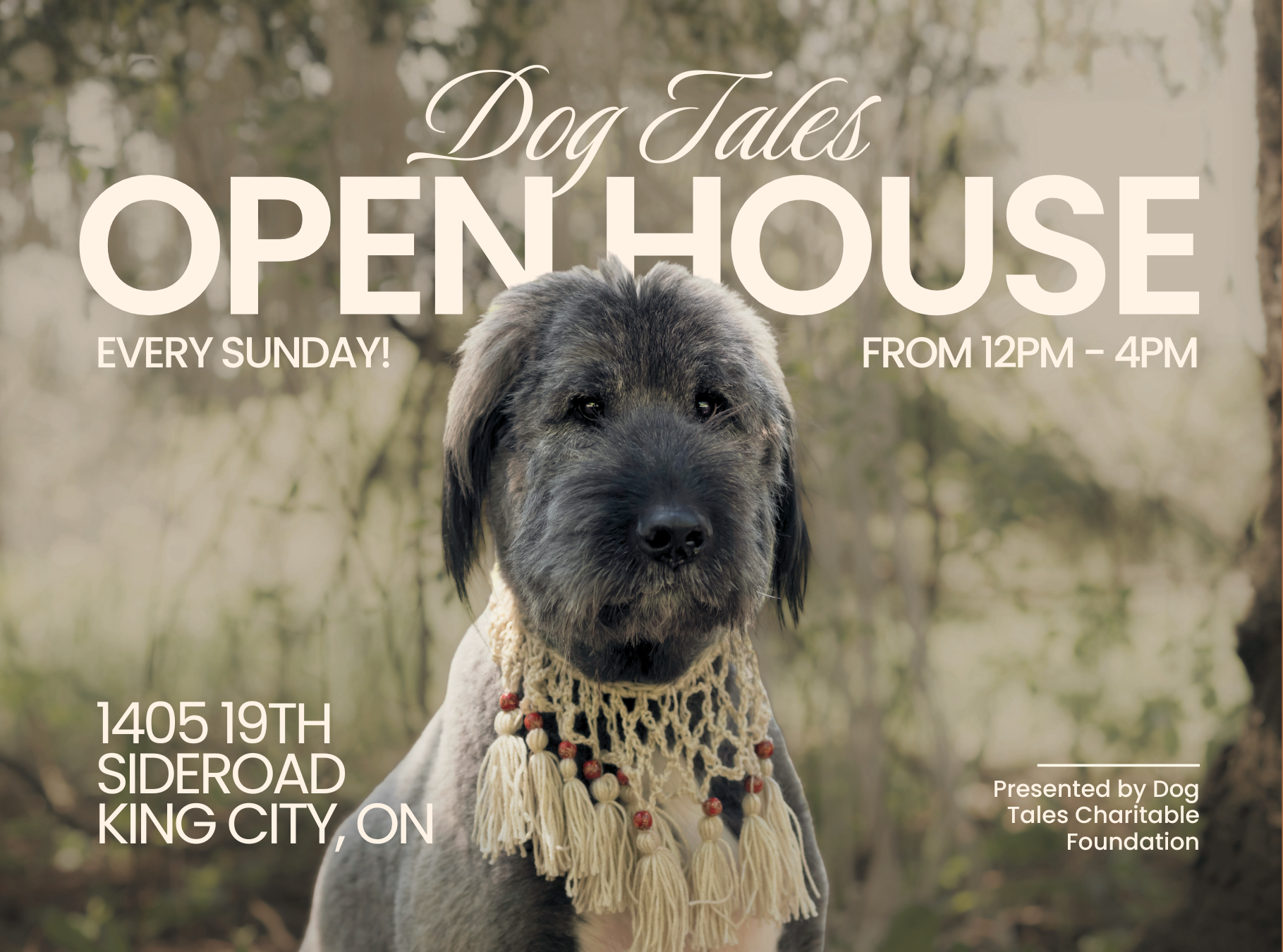 Dog Tales Open House — Dog Tales Rescue and Sanctuary